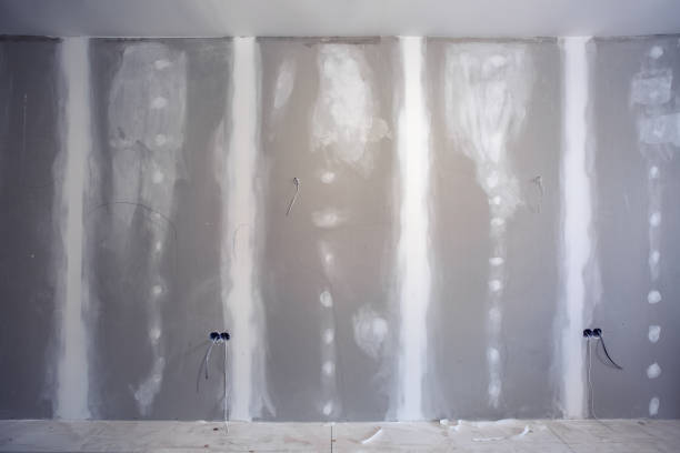  , USA Mold Removal Pros